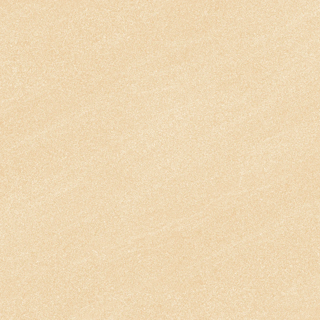 face 6